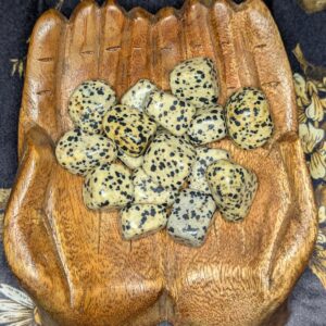 Dalmatian Jasper (tumbled)
