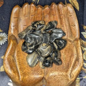 Stromatolite (tumbled)